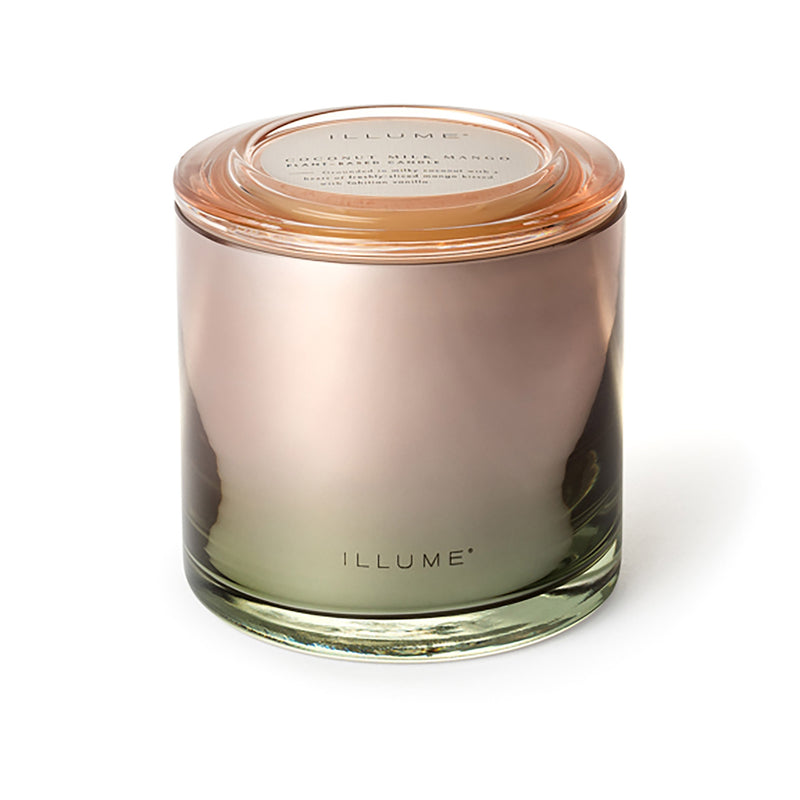 Bloomingville - ILLUME Statement Duftkerze | Coconut Milk Mango