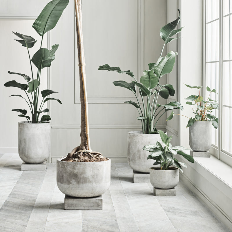 Bolia - Podium Blumentopf