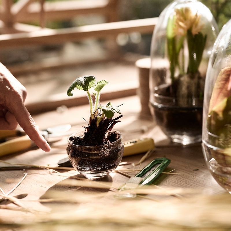 Design House Stockholm - Grow Gewächshaus