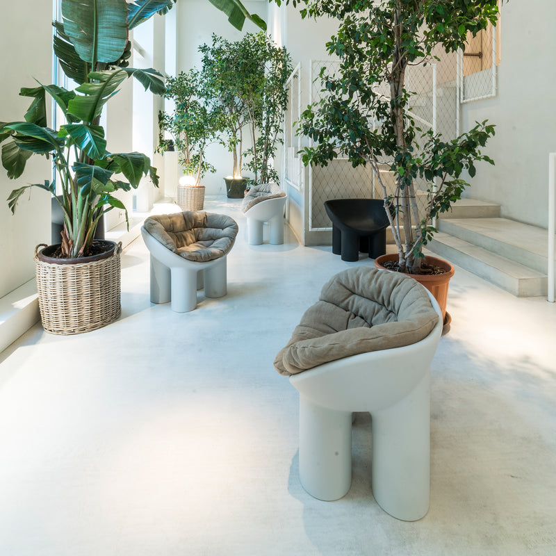 Driade - Roly Poly Armchair