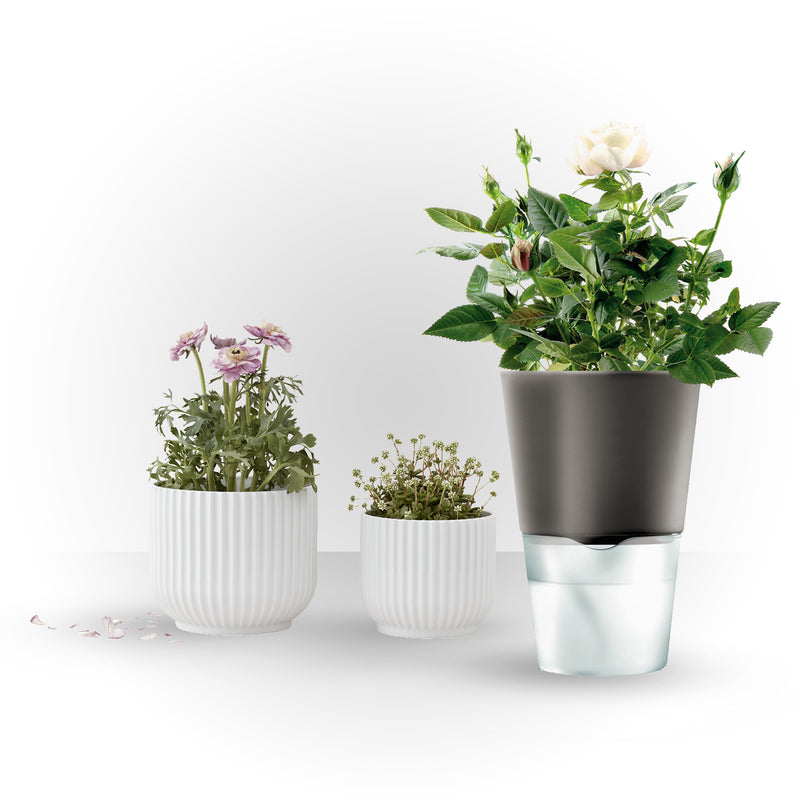 Lyngby Porcelæn - Blumentopf