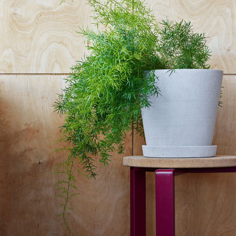 HAY - Blumentopf mit Untersetzer
