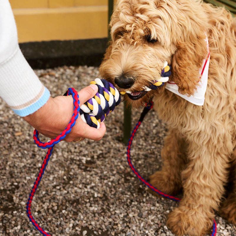 HAY - Dogs Hundeleine