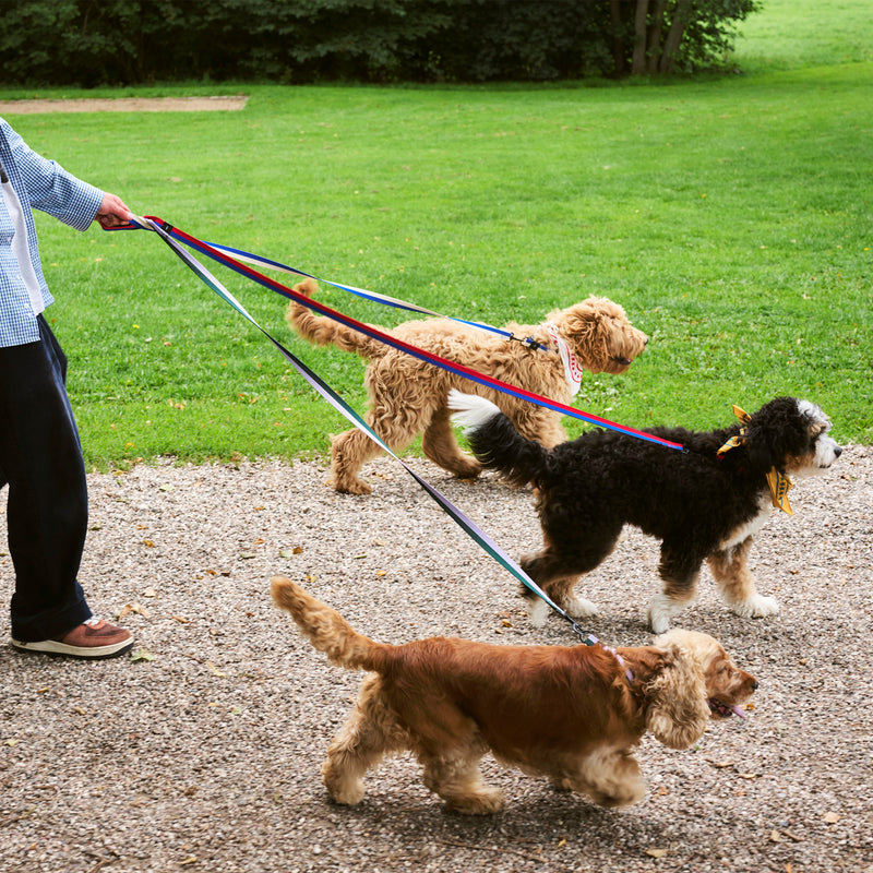HAY - Dogs Hundeleine