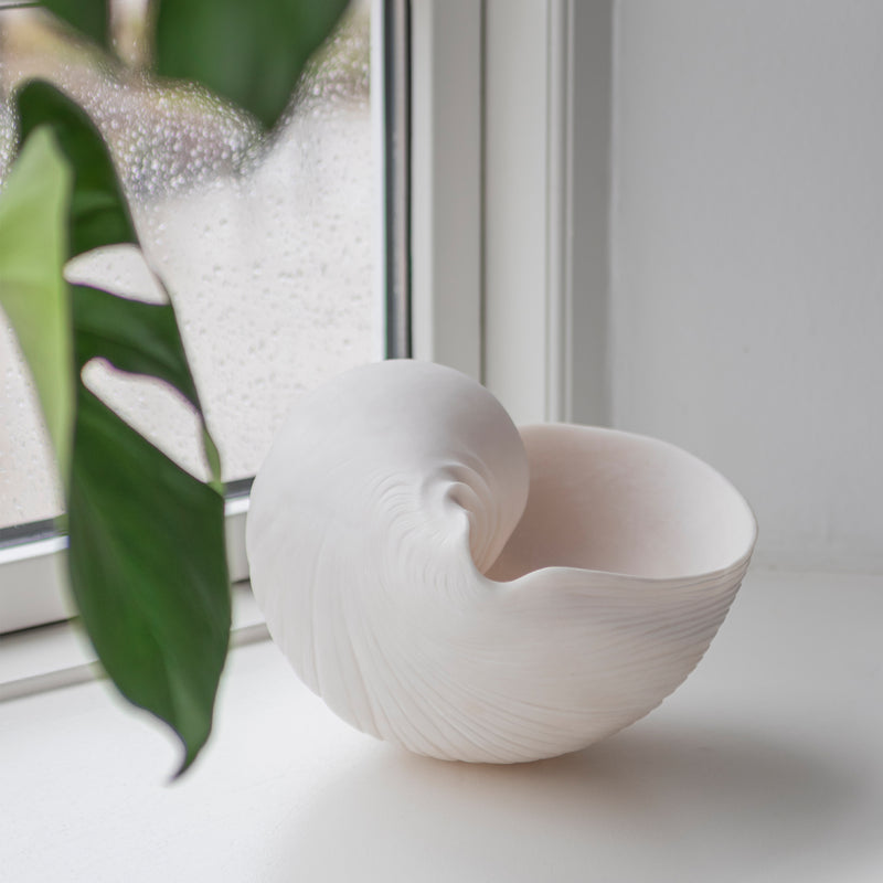 Mette Ditmer - Conch Muschel