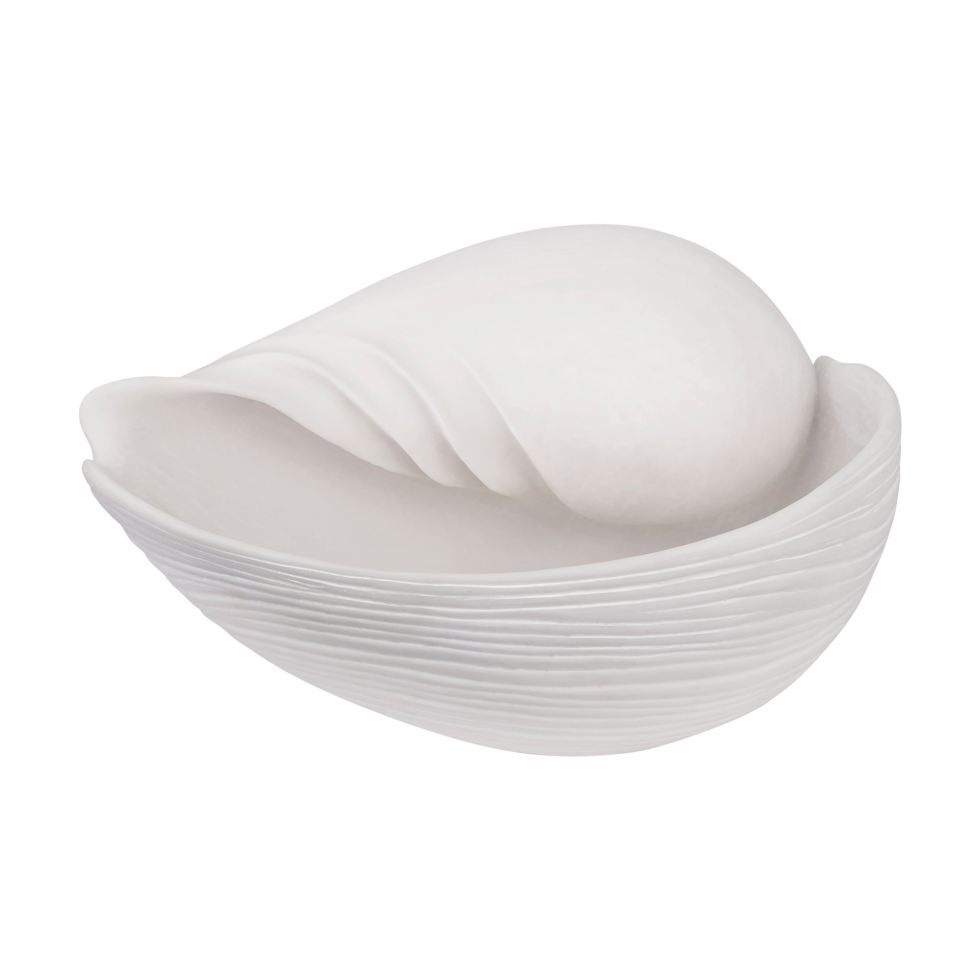 Mette Ditmer - Conch Muschel | large