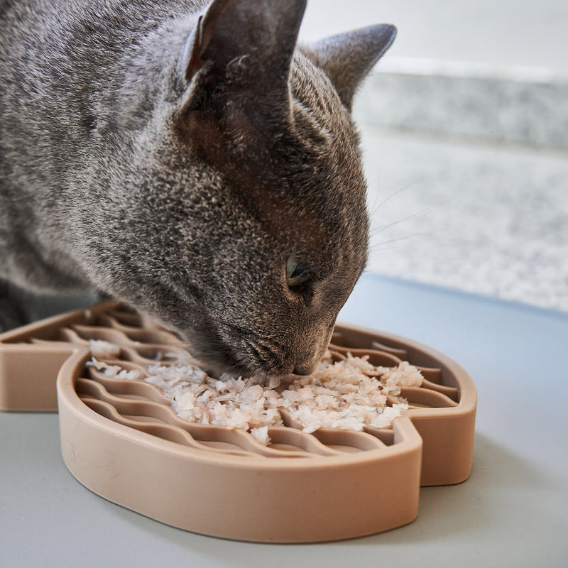 MiaCara - Pesce Beschäftigungsspielzeug für Katzen