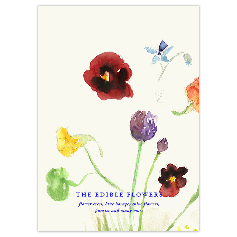 Paper Collective - The Edible Flowers Poster | 100 x 140 cm